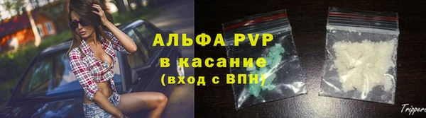 гашик Алексин