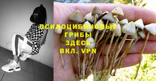 винт Абинск